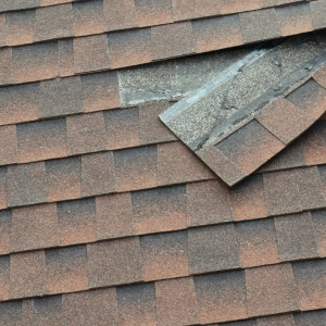 Roof Repair